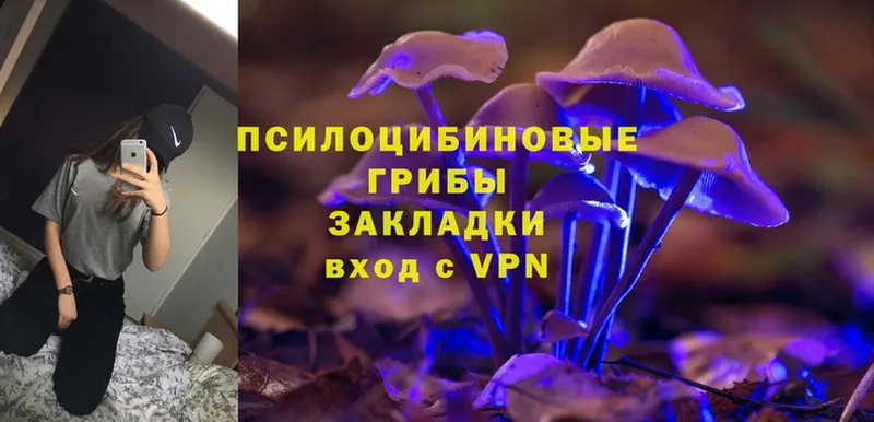 Галлюциногенные грибы MAGIC MUSHROOMS  darknet телеграм  Мегион  где купить наркоту 